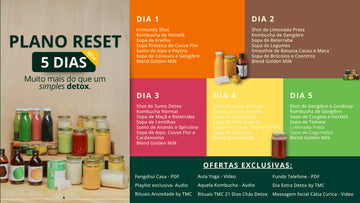 Plano RESET 2025 – Detox Líquido 1 a 5 Dias para Equilíbrio e Energia